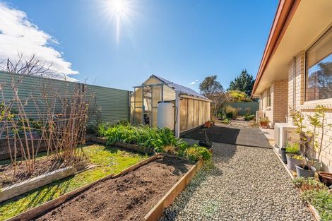 Photo of property in 26 Dobson Street, Waimate, 7924