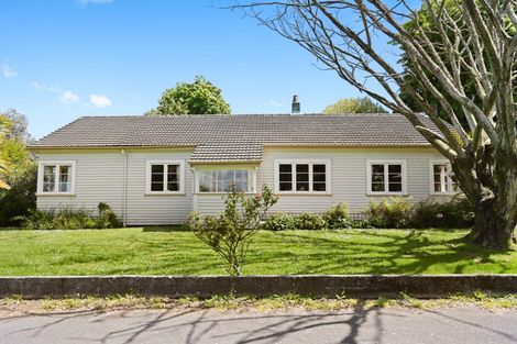 Photo of property in 15 Anglesea Street, Hamilton Central, Hamilton, 3204