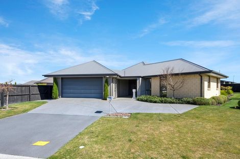 Photo of property in 7 New Creek Mews, Rolleston, 7614