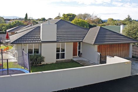 Photo of property in 513 Ferguson Street, Palmerston North, 4410