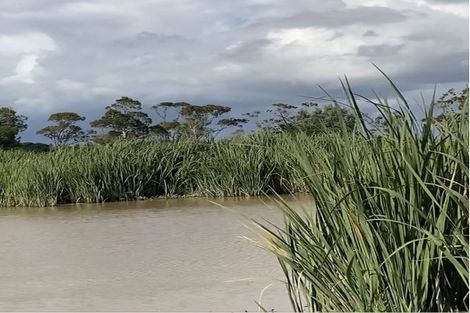 Photo of property in 123 Colville Road, Dargaville, 0377