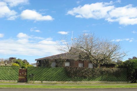 Photo of property in 84 Kennedy Drive, Levin, 5510