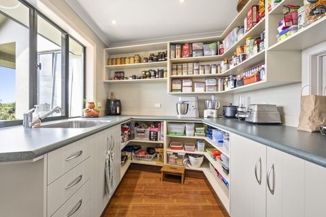 Photo of property in 53 Dromara Drive, Rotokauri, Hamilton, 3289