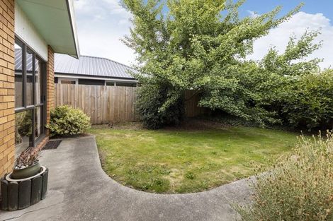 Photo of property in 6 Barratt Street, Blenheim, 7201