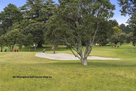 Photo of property in 41 Waitui Grove, Mount Maunganui, 3116