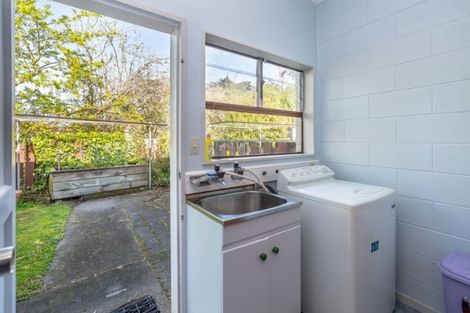 Photo of property in 4a Chamberlain Road, Masterton, 5810