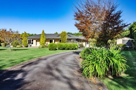 Photo of property in 22 Raeburn Avenue, Otatara, Invercargill, 9879