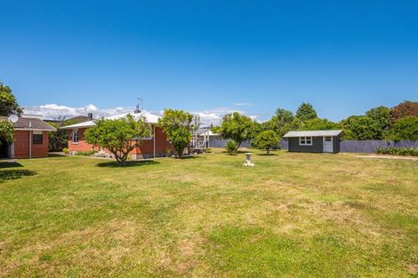 Photo of property in 28 Mahoe Street, Levin, 5510