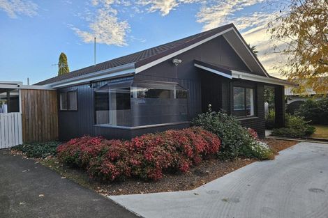 Photo of property in 4 Grant Street, Havelock North, 4130