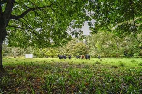 Photo of property in 4883 State Highway 2, Putorino, Kotemaori, 4181