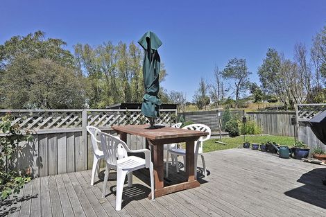 Photo of property in 19 Opawa Place, Terrace End, Palmerston North, 4410