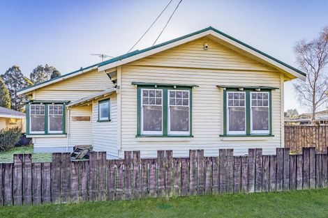 Photo of property in 109 Seddon Street, Raetihi, 4632