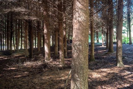 Photo of property in 334 Malaghans Road, Dalefield, Queenstown, 9371