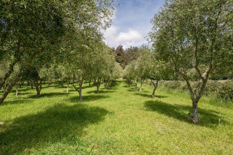 Photo of property in 145 Andrews Road, Wairoa Valley, Brightwater, 7091