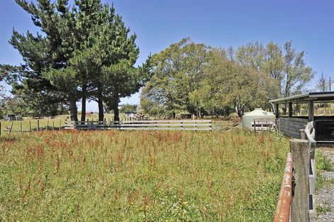 Photo of property in 19 Opawa Place, Terrace End, Palmerston North, 4410