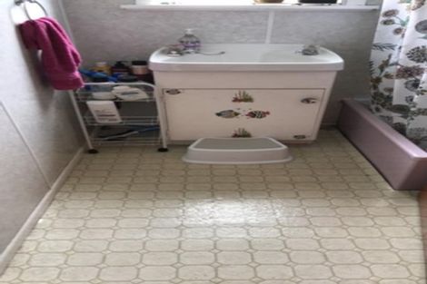 Photo of property in 105 Kawiu Road, Levin, 5510