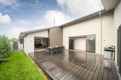 Photo of property in 114 Linton Street, West End, Palmerston North, 4410