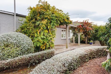 Photo of property in 34 Wellington Street, Feilding, 4702