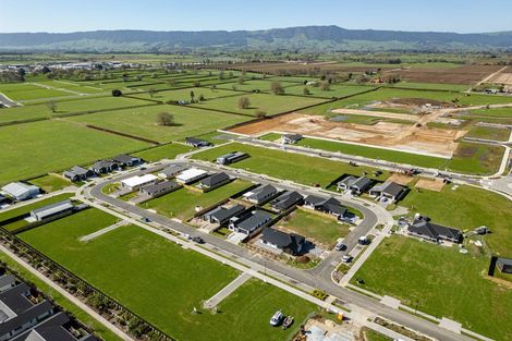 Photo of property in 14 Rangitihi Street, Matamata, 3400