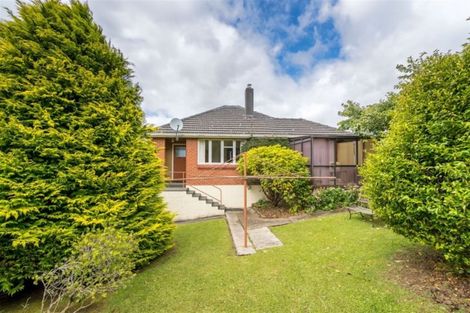 Photo of property in 114 Cockerell Street, Brockville, Dunedin, 9011