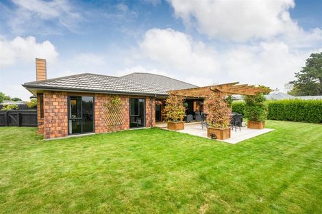 Photo of property in 20a Pukepapa Road, Marton, 4710