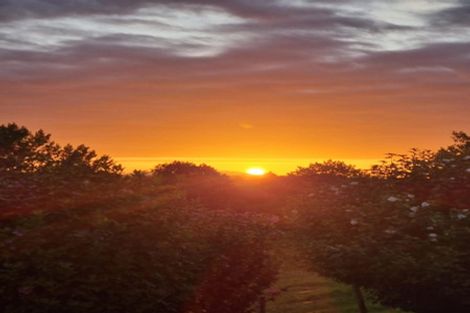 Photo of property in 1524 Te Pahu Road, Karamu, Hamilton, 3285