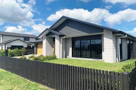 Photo of property in 41 Lulu Avenue, Chartwell, Hamilton, 3210