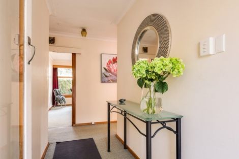 Photo of property in 40 Ventnor Street, Mornington, Dunedin, 9011