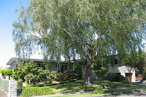 Photo of property in 19 Burden Street, Redwoodtown, Blenheim, 7201