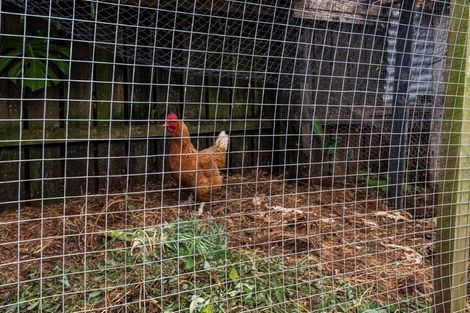 Photo of property in 576 State Highway 14, Maunu, Whangarei, 0179