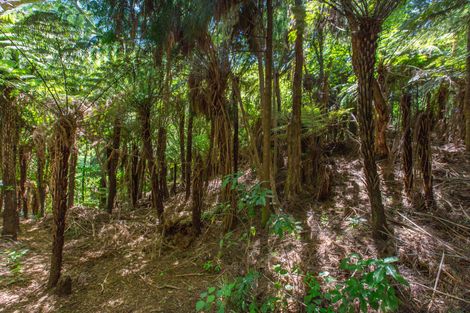 Photo of property in 22 Te Tuhi Road, Raglan, 3297
