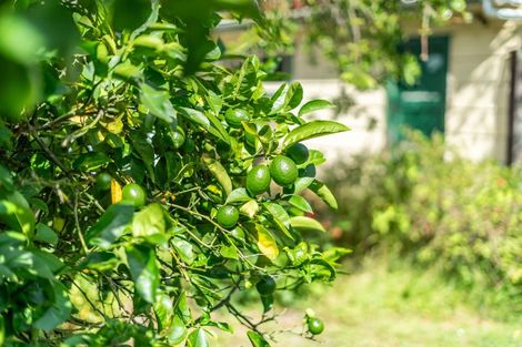 Photo of property in 4 Davis Crescent, Elderslea, Upper Hutt, 5018