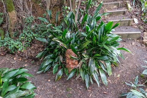 Photo of property in 195 Driving Creek Road, Coromandel, 3506