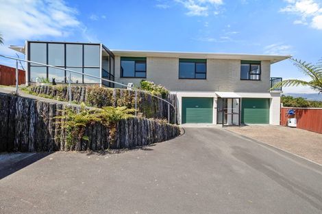 Photo of property in 153 Tukapa Street, Westown, New Plymouth, 4310