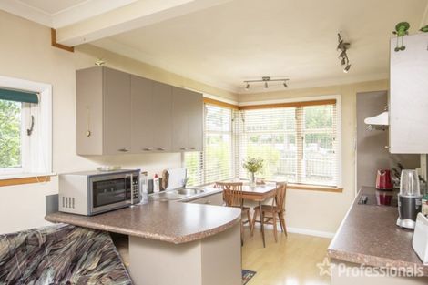 Photo of property in 29 Cornwall Street, Masterton, 5810