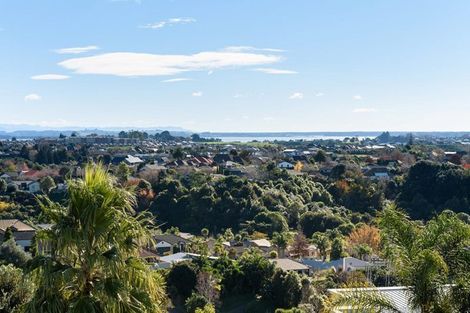 Photo of property in 39 Hallmark Rise, Bethlehem, Tauranga, 3110