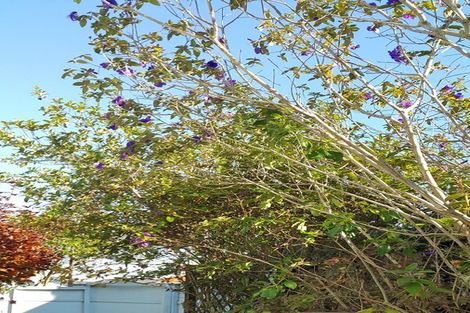 Photo of property in 9 Fowlers Avenue, Frankton, Hamilton, 3204