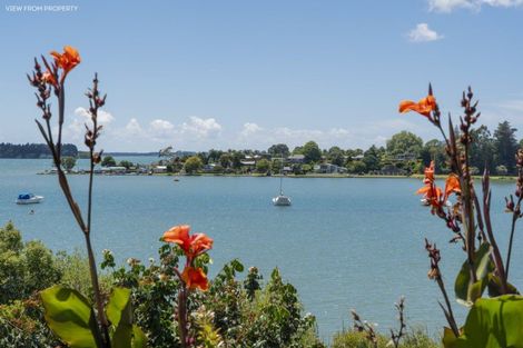 Photo of property in 276 Plummers Point Road, Whakamarama, 3172