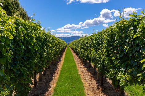 Photo of property in 21 Jones Road, Grovetown, Blenheim, 7273