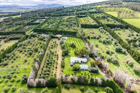 Photo of property in 70 Norris Road, Maungatapere, Whangarei, 0179