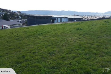 Photo of property in 19 Erica Crescent, Mosgiel, 9024