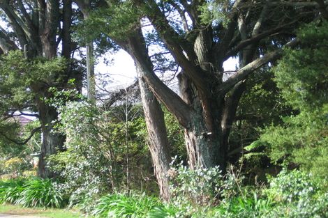Photo of property in 240 Old Titirangi Road, Titirangi, Auckland, 0604