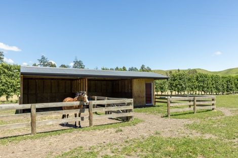 Photo of property in 1212 Ohiti Road, Crownthorpe, Hastings, 4179