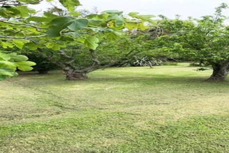 Photo of property in 57 Pouto Road, Dargaville, 0371