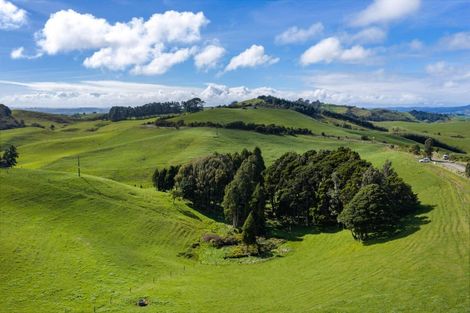 Photo of property in 554 Maungatawhiri Road, Raglan, 3295