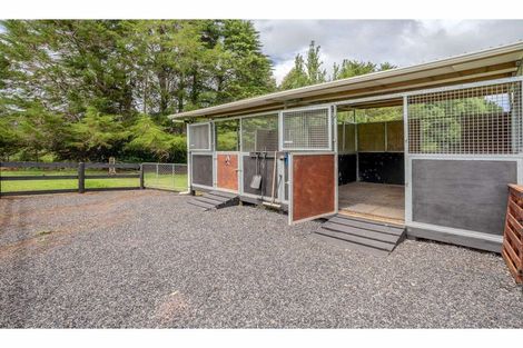 Photo of property in 397d Pungaere Road, Waipapa, Kerikeri, 0295
