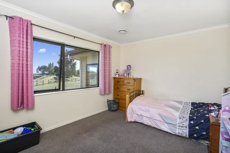 Photo of property in 181 Mangatoi Road, Oropi, Tauranga, 3173