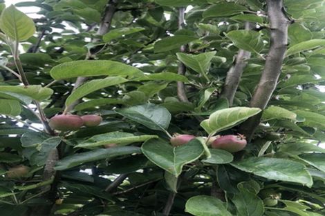 Photo of property in 175 Wainuiomata Road, Wainuiomata, Lower Hutt, 5014