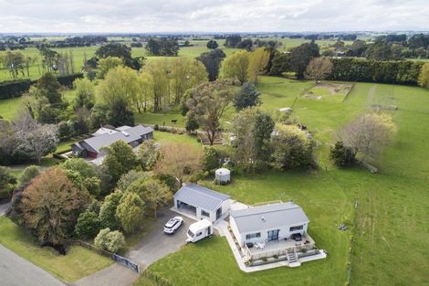Photo of property in 103 Te Ngaio Road, Bunnythorpe, Feilding, 4775