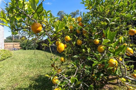 Photo of property in 59 Rosser Street, Huntly, 3700